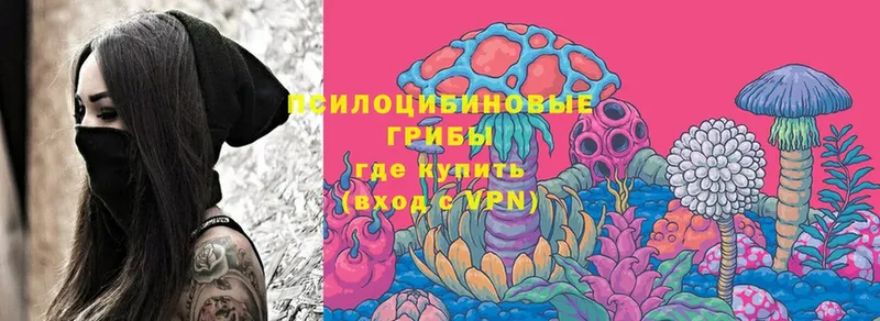 Псилоцибиновые грибы Psilocybine cubensis  Ленинск 